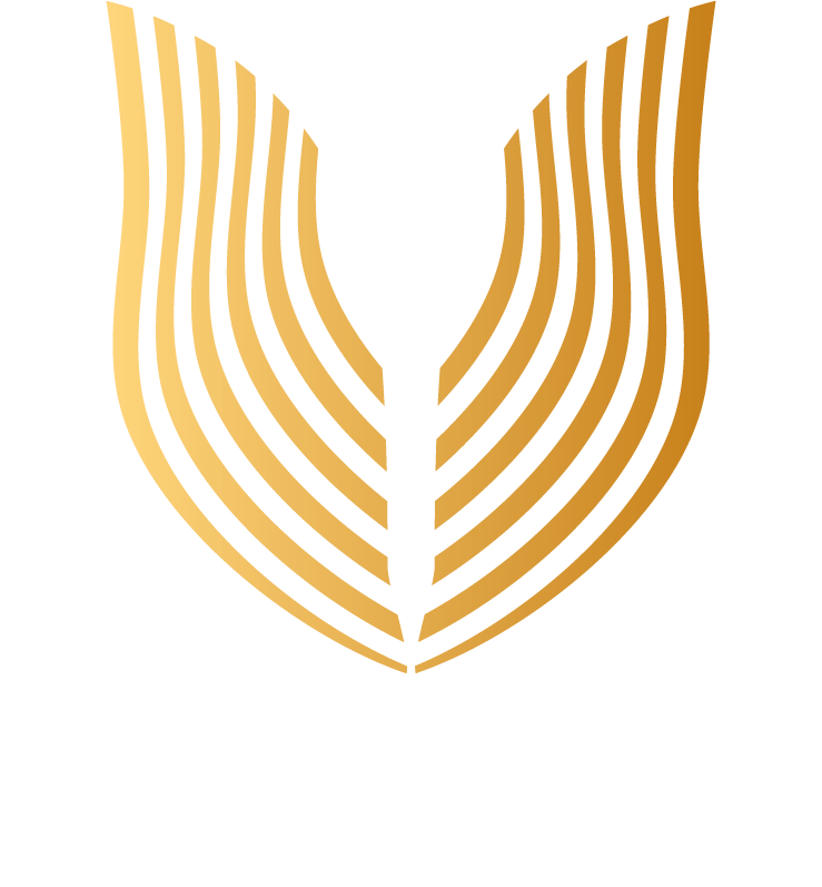 Magnum Ventures brand identity